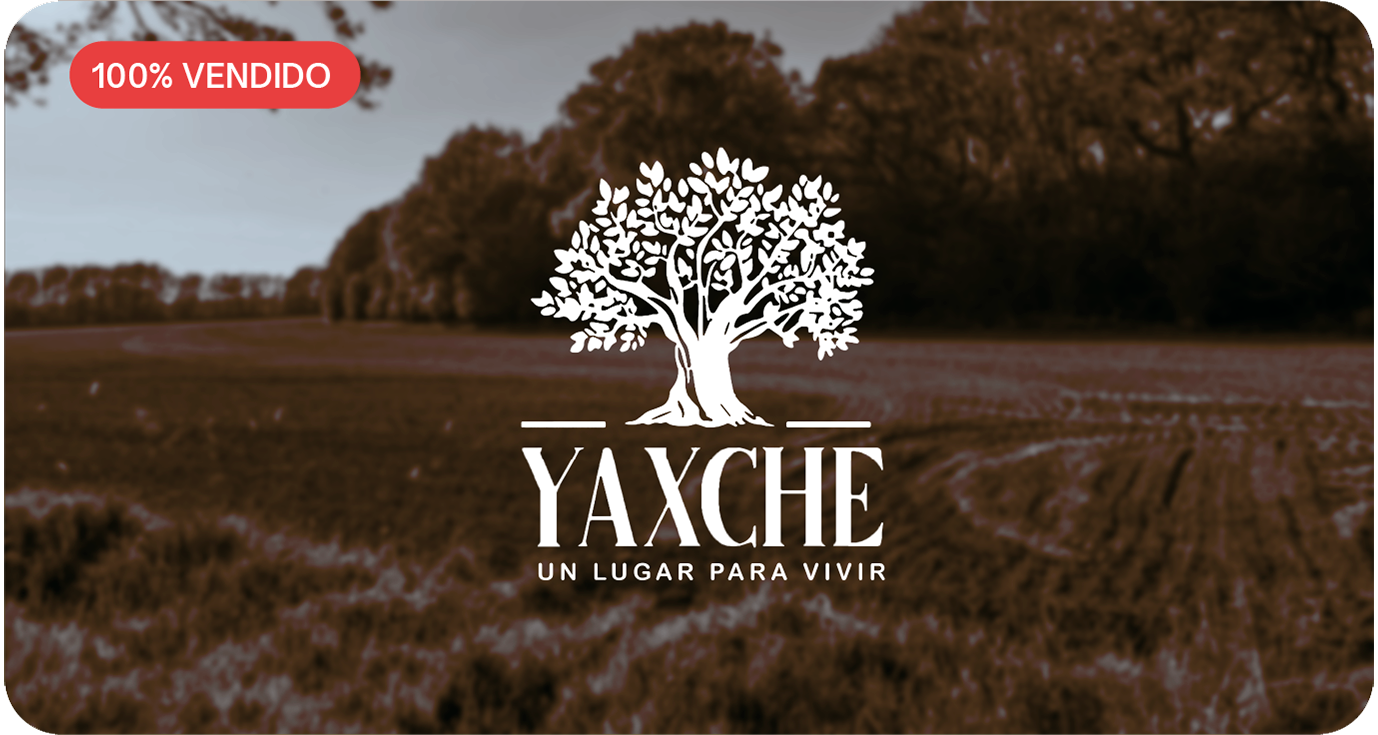 Yaxche un lugar para vivir